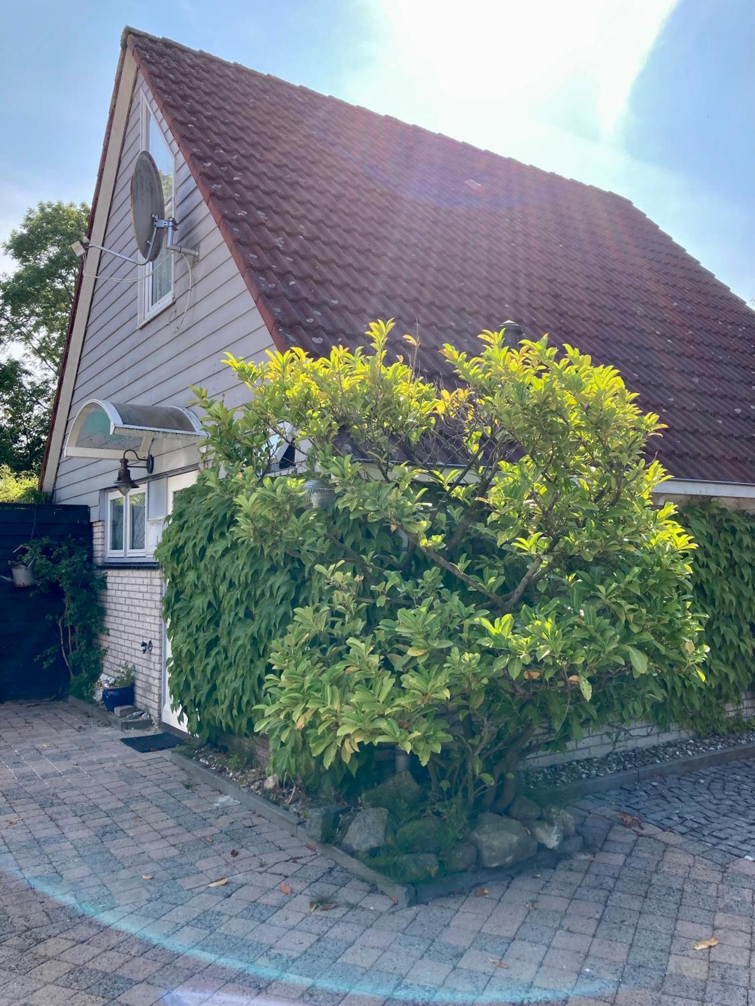 Gudrun 5 Pers Equipped House With Sauna. Dogs Are Welcome! Anjum Exterior photo