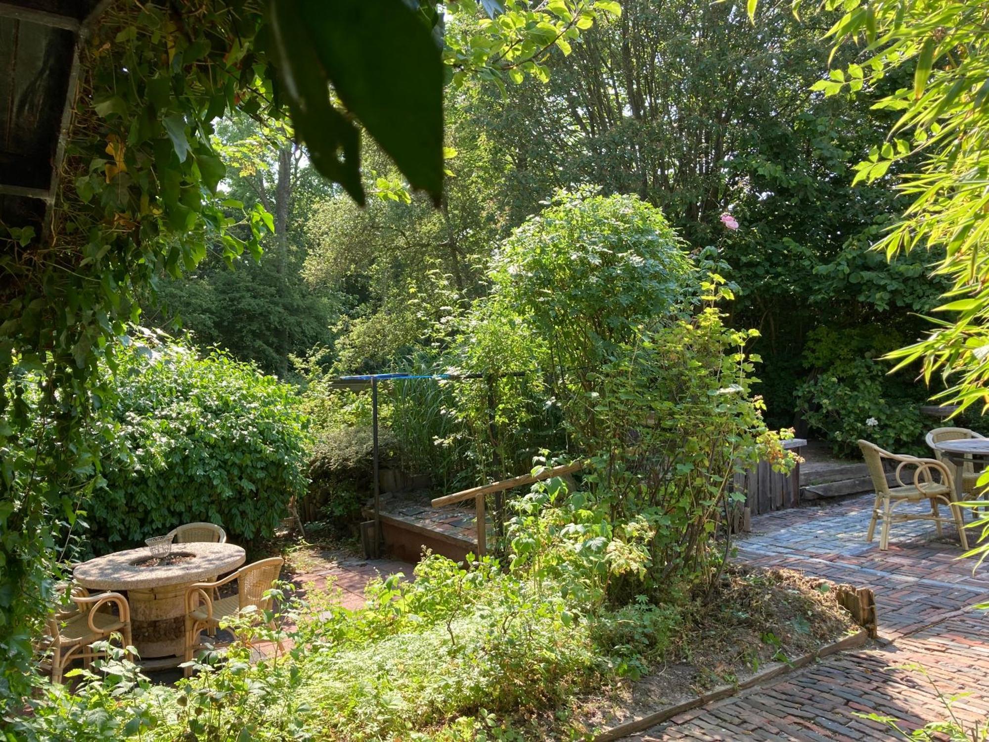 Gudrun 5 Pers Equipped House With Sauna. Dogs Are Welcome! Anjum Exterior photo